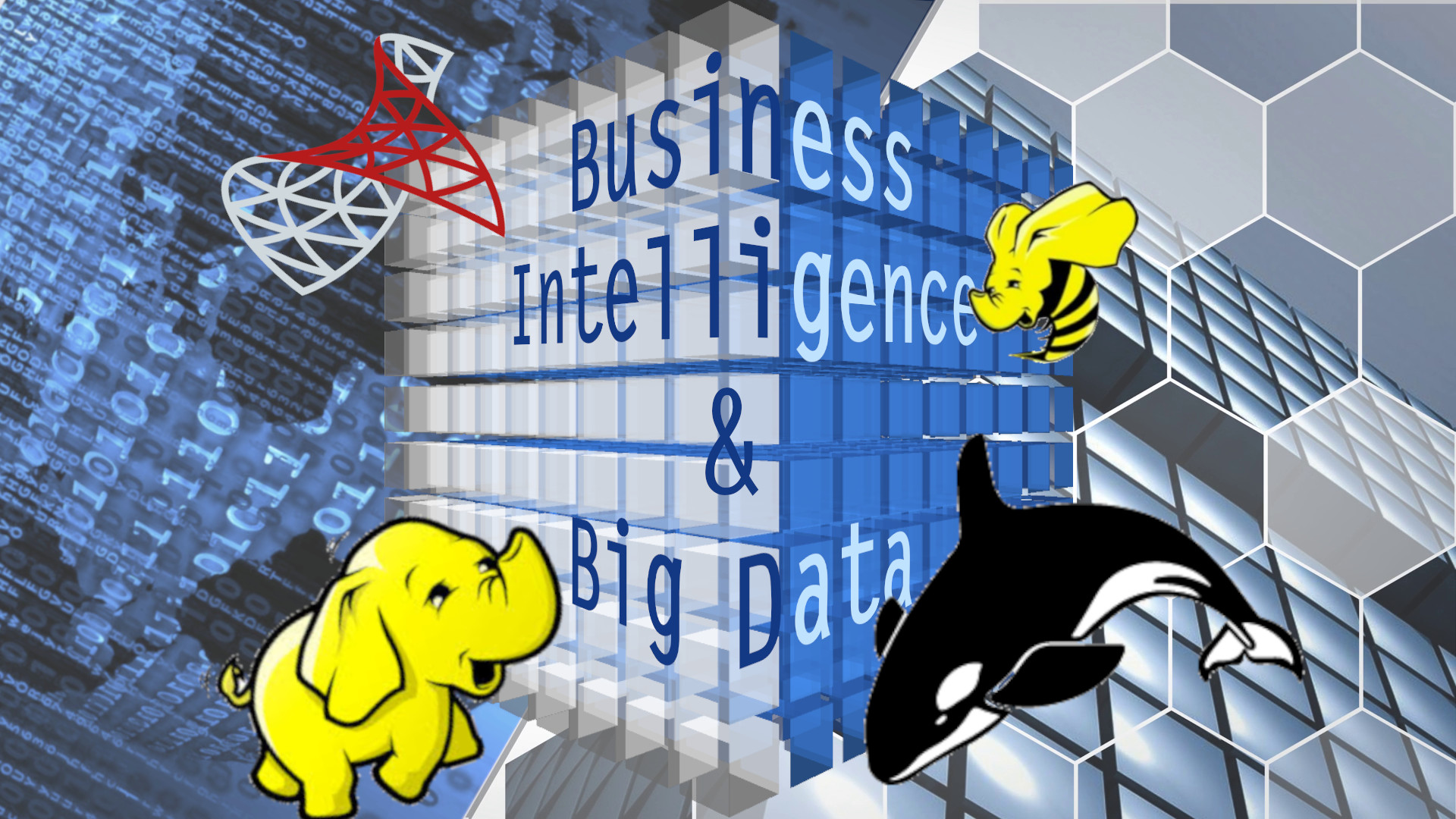 Videoseminar Einführung in Business Intelligence & Big Data