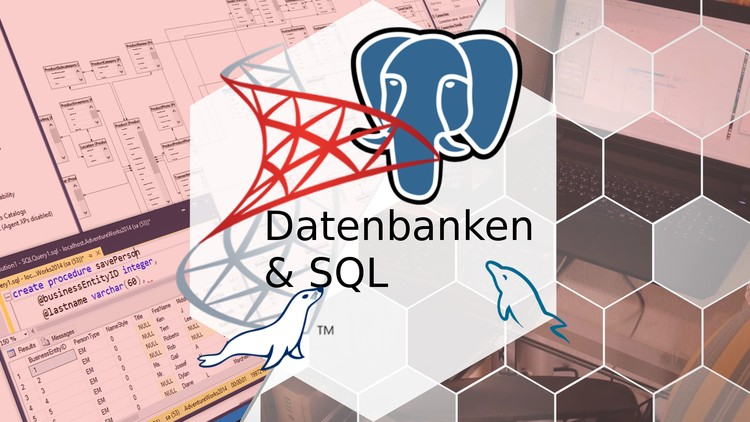 Videoseminar Einführung in Datenbanken & SQL